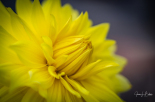 JLB01225-Edit