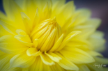 JLB06523-Edit
