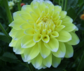 KORB YELLOW HY-LIGHT
