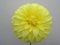 BLOOMQUIST BARBARA