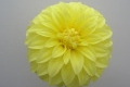 BLOOMQUIST BARBARA