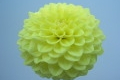 JS LEMON