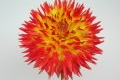 WINDHAVEN FLARE