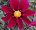MME MARGUERITE CO