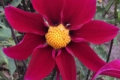 MME MARGUERITE CO