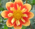 NTAC SOLAR FLARE CO