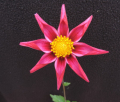 BLOOMQUIST FRANK S O