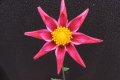 BLOOMQUIST FRANK S O