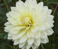 SANDIA SHOWBOAT