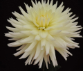 BLOOMQUIST MARY