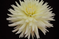 BLOOMQUIST MARY